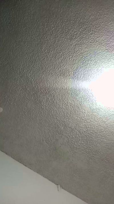 Rosa296 live cam on Cam4