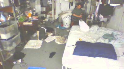 RoseGamini live cam on Cam4