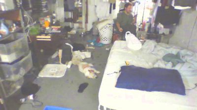 RoseGamini live cam on Cam4