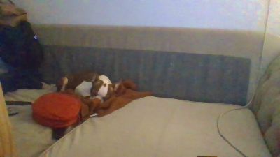 Rosieandjim live cam on Cam4