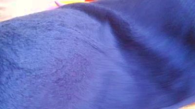 Roxolonasmith live cam on Cam4