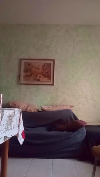 Ryanyuri999hot live cam on Cam4