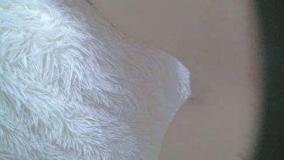 SAPIA_SEXUAL live cam on Cam4