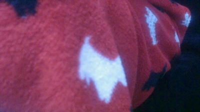 SAPIA_SEXUAL live cam on Cam4