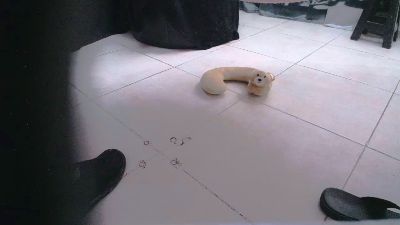 SAPIA_SEXUAL live cam on Cam4