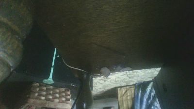 SPHMY1INCH live cam on Cam4