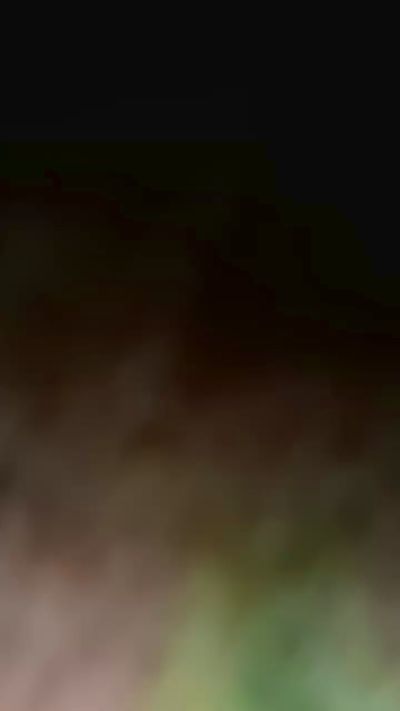 STUPIDTOYGAY live cam on Cam4