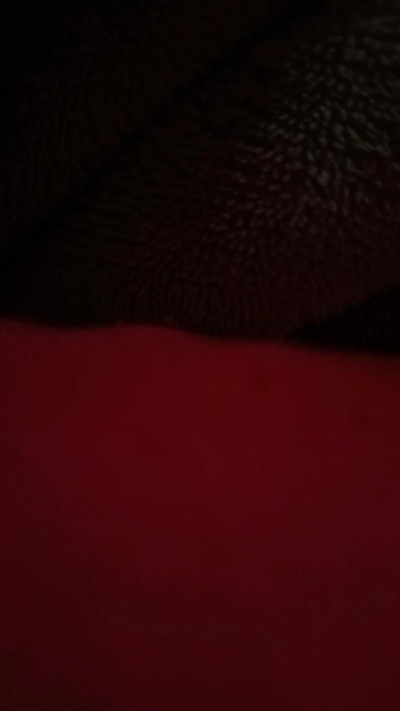 Safadoggg37 live cam on Cam4