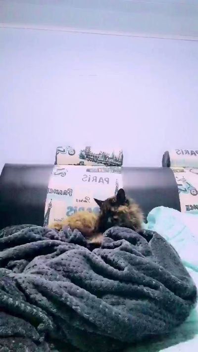 Sahotlove1_ live cam on Cam4