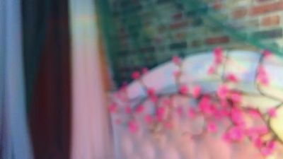 SallyCha live cam on Cam4
