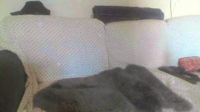 SamanthaBisex live cam on Cam4