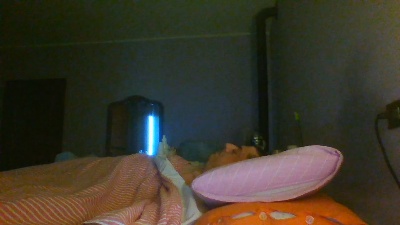 Samuelsalvador live cam on Cam4