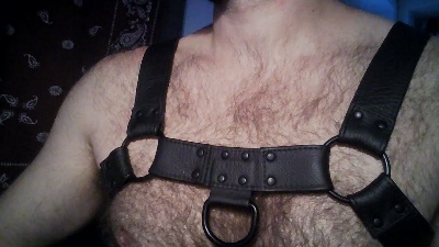 SanderWlv live cam on Cam4