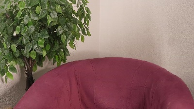 Profile and Statistics for SantaWheeldon on Cam4