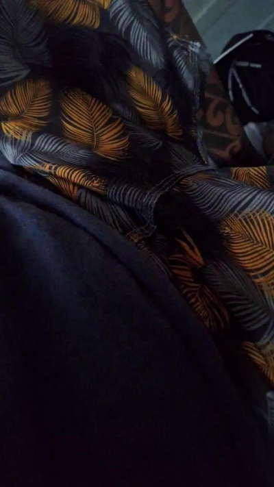 Preview of santo9908