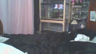 SaraLaw22 live cam on Cam4