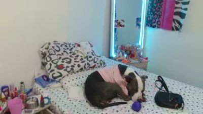 SaryDoll live cam on Cam4
