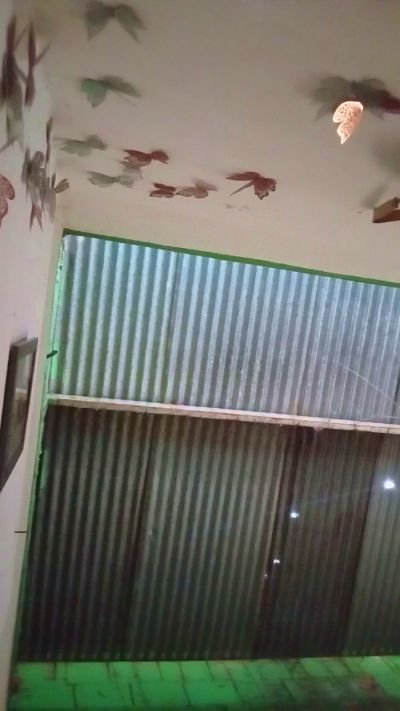 Scarlett_pee live cam on Cam4