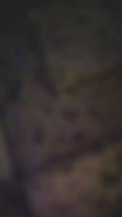 Screach93 live cam on Cam4