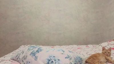 SeanLlewellyn live cam on Cam4