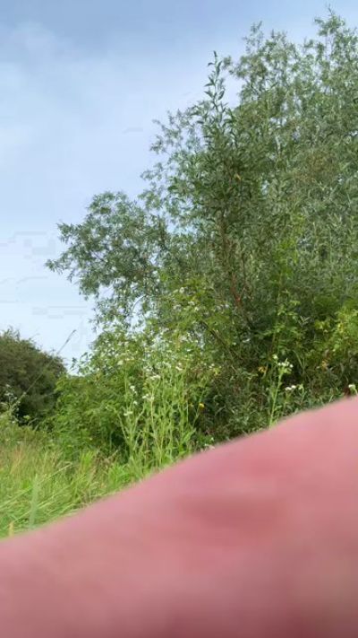 SecretNatureBoy live cam on Cam4