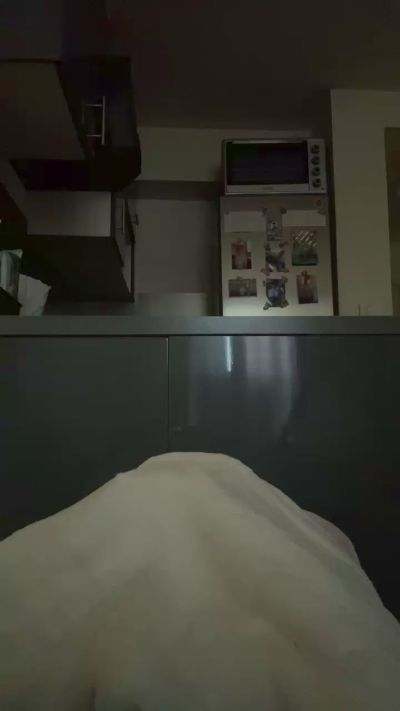 Selffboy live male webcam from France