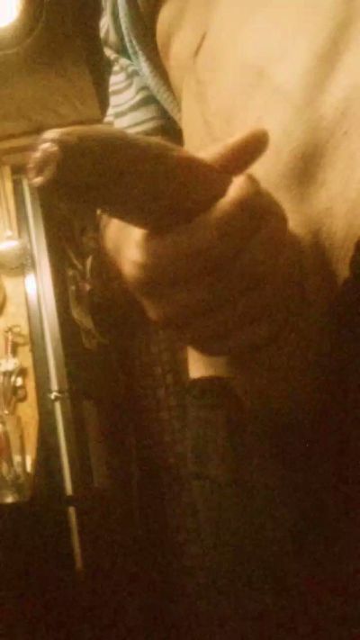 Preview of sementalechero_