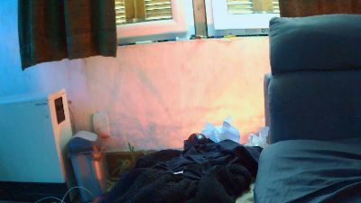 Sepp live cam on Cam4