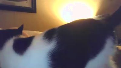 Seven3333 live cam on Cam4