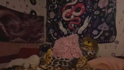 ShareeTandy live cam on Cam4