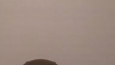 SharieHeimsoth live cam on Cam4