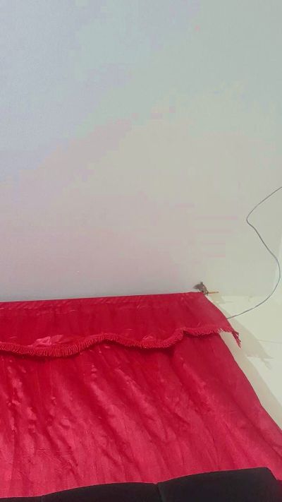 Sharil live cam on Cam4