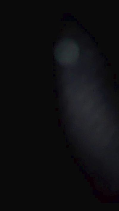 Shazzarae live cam on Cam4