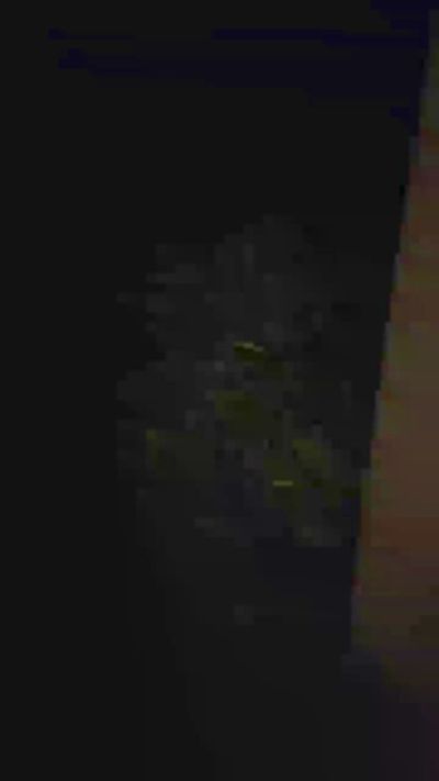 Shortyty37 live cam on Cam4