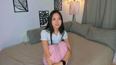 SilkShadow webcam