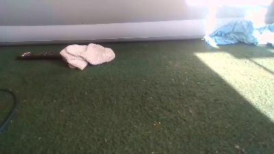 Silkworm_Piper live cam on Cam4