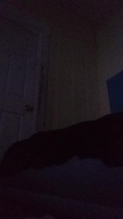 Silkworm_Piper live cam on Cam4