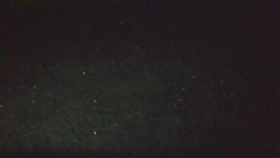 Silkworm_Piper live cam on Cam4