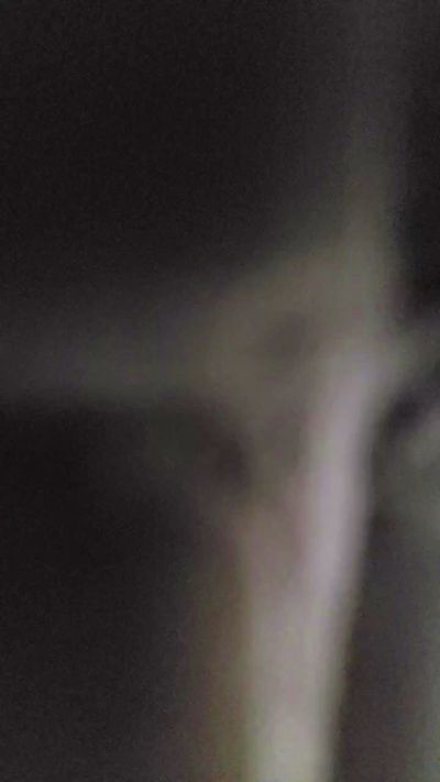 Siriocam live cam on Cam4