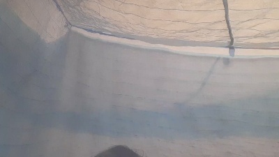 Sixpiar live cam on Cam4