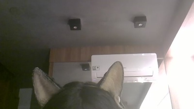 SkinnyKittenCam live cam on Cam4
