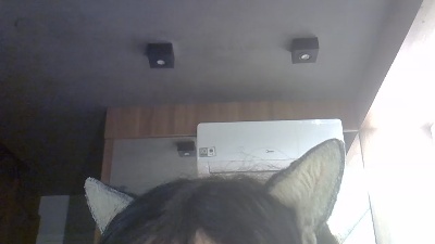 SkinnyKittenCam live cam on Cam4