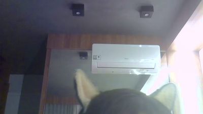 SkinnyKittenCam live cam on Cam4