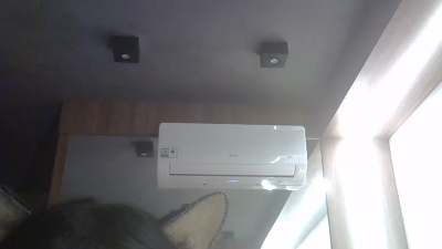 SkinnyKittenCam live cam on Cam4