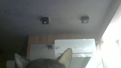 SkinnyKittenCam live cam on Cam4