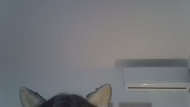 SkinnyKittenCam live cam on Cam4
