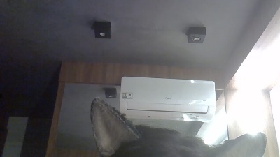 SkinnyKittenCam live cam on Cam4