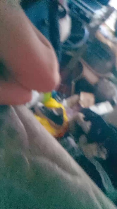 Slut__Muffin live cam on Cam4