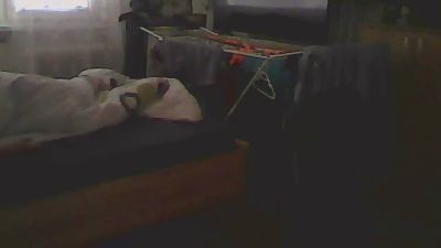 Smolik000 live cam on Cam4