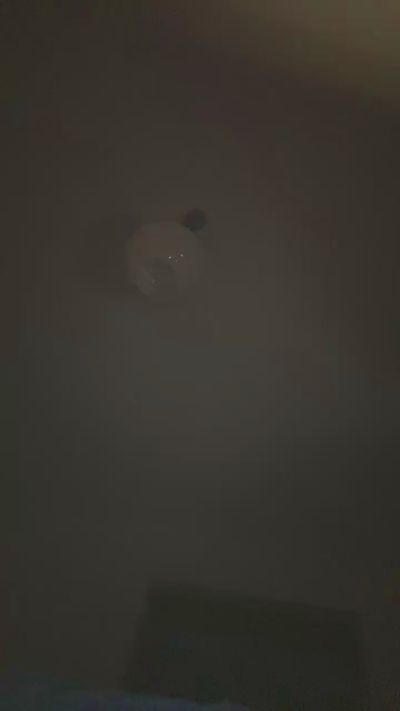 SmuTandamento live cam on Cam4